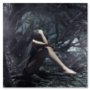 Buchcover Nachtrabe druckfähig